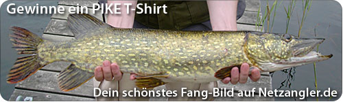 Gewinnspiel 03-2010